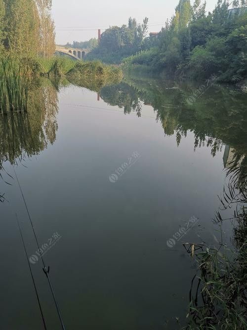 六角龍魚適宜水溫范圍內的水溫范圍內能夠保持良好的健康狀況（六角龍魚的耐低溫能力）