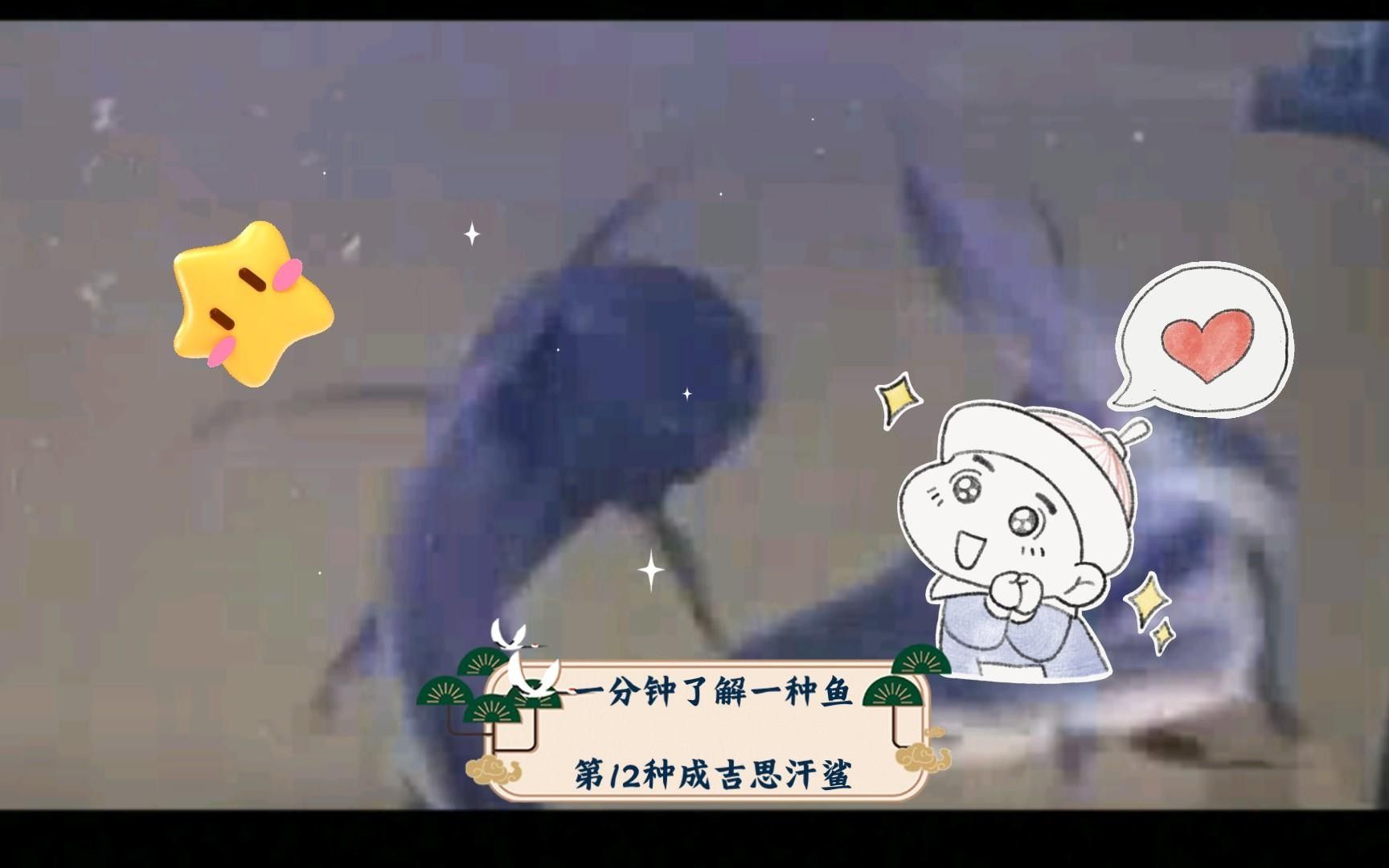 成吉思汗鯊VS大嘴鯨（成吉思汗鯊vs大嘴鯨） 成吉思汗鯊VS大嘴鯨（成吉思汗鯊vs大嘴鯨） 觀賞魚百科
