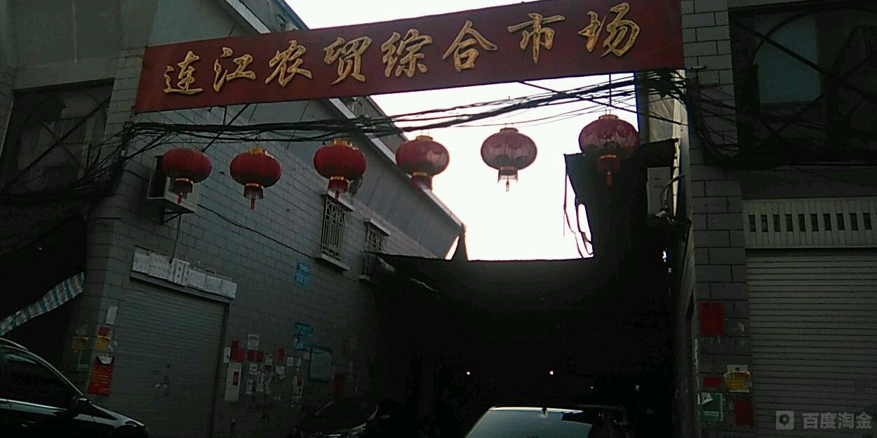 連江哪里有賣金魚 連江哪里有賣金魚 觀賞魚百科 第4張