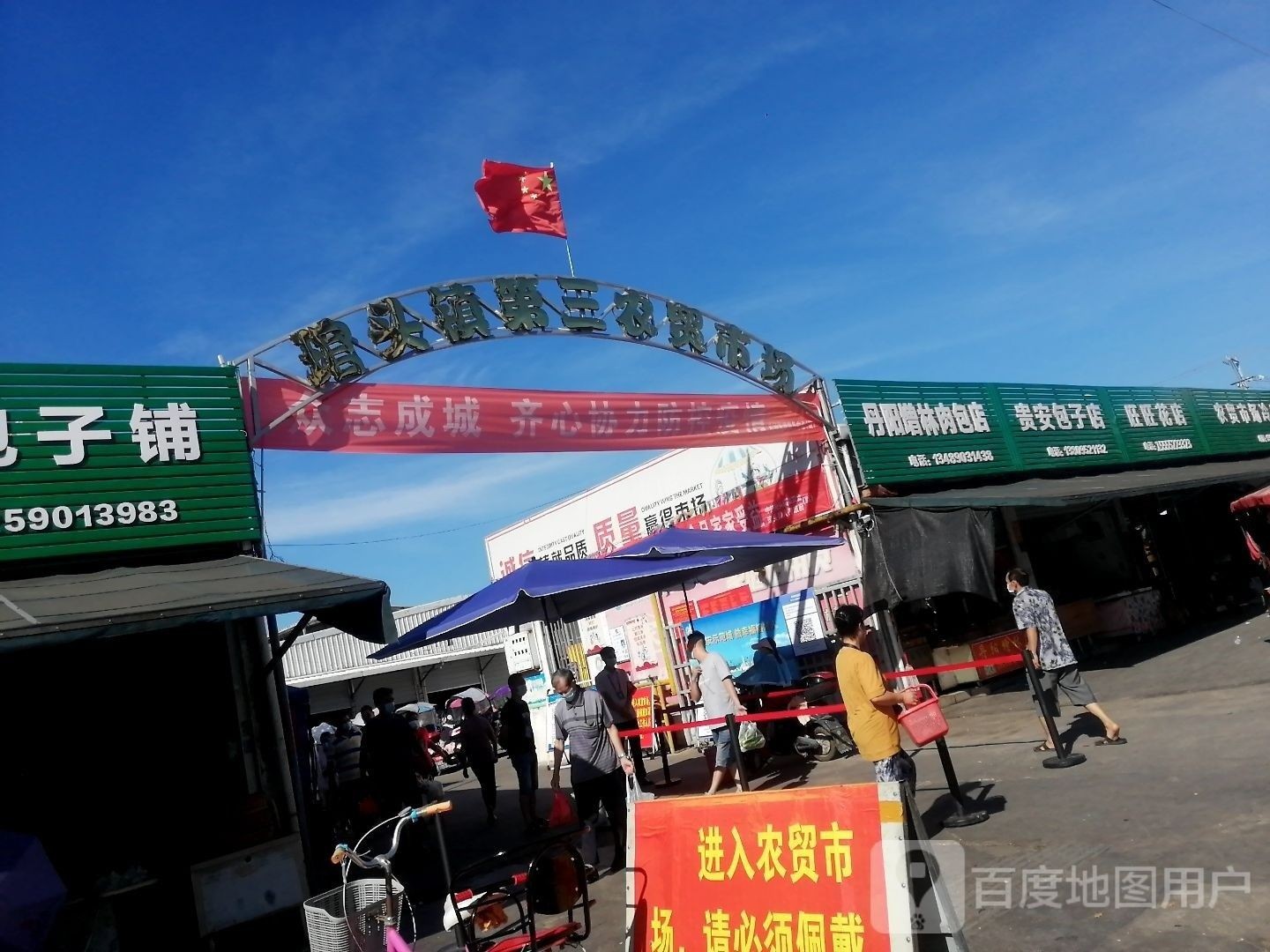 連江哪里有賣金魚 連江哪里有賣金魚 觀賞魚百科 第5張