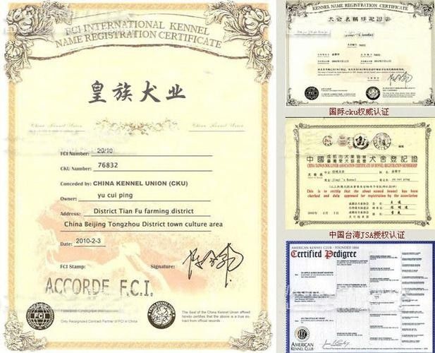 龍魚血統證書有哪些常見類型？（魚血統證書是用于證明龍魚品種純度和血統的重要文件）