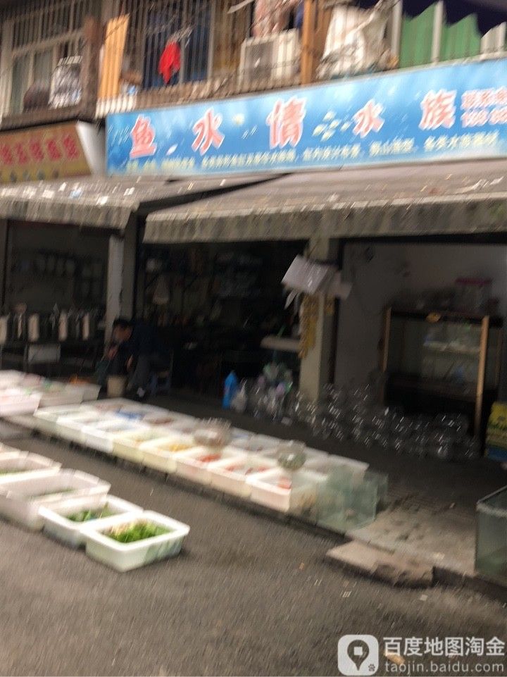 翠屏哪個水族館龍魚好？祥龍魚場龍魚（廣州翠屏區祥龍魚場）