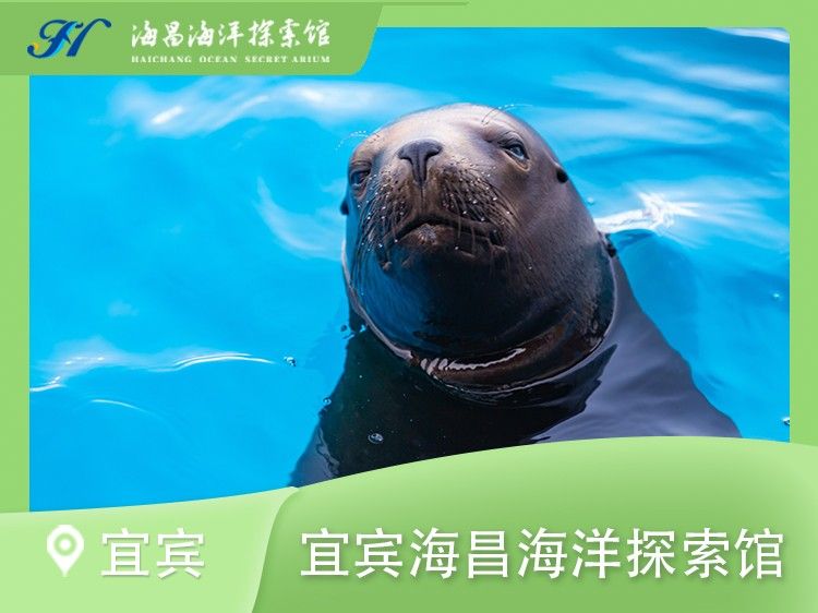 翠屏哪個水族館龍魚好？祥龍魚場龍魚（廣州翠屏區祥龍魚場）