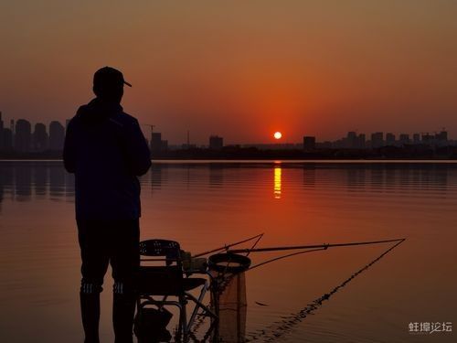 龍子湖可以釣魚嗎 龍子湖可以釣魚嗎 觀賞魚百科 第4張