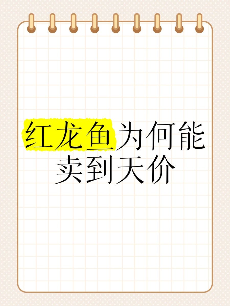 白化紅龍魚為什么價格高？（為什么白化紅龍魚價格高昂？）