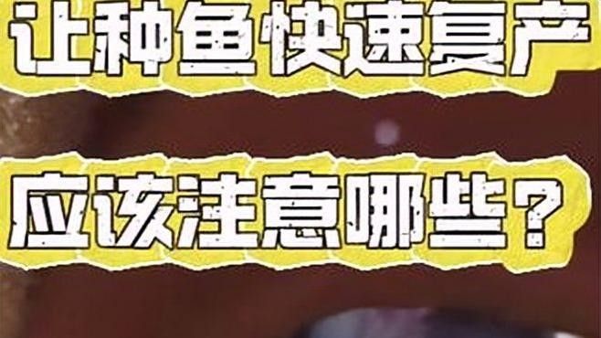 黃尾藍魔打架的海水魚有哪些好看的海水魚有哪些好看的海水魚，好看的海水魚有哪些