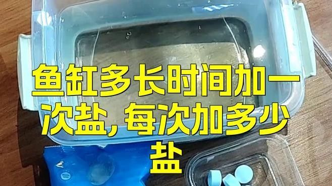 龍魚多久加一次鹽（如何為龍魚加鹽） 龍魚多久加一次鹽（如何為龍魚加鹽） 龍魚百科 第1張