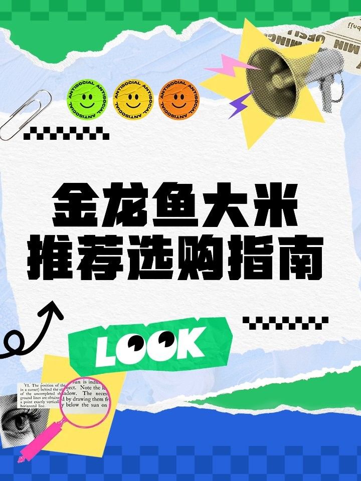 金龍魚五常原香稻系列有哪些產品