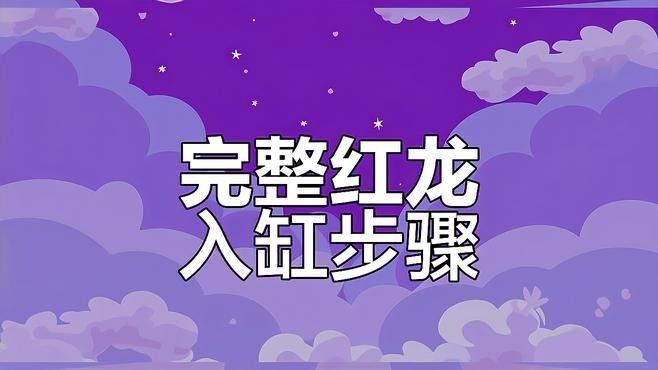 洪澤紅龍魚最簡單三個步驟（洪澤紅龍魚養殖的三個步驟） 洪澤紅龍魚最簡單三個步驟（洪澤紅龍魚養殖的三個步驟） 觀賞魚百科 第3張