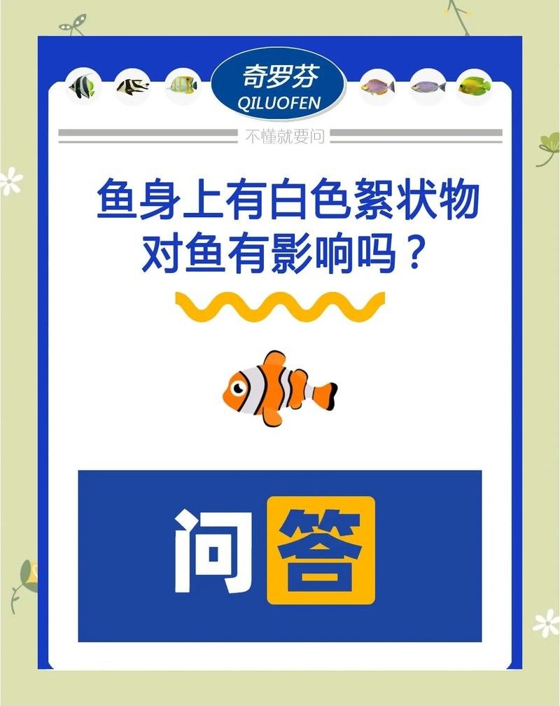 如何判斷六角恐龍魚是否感染？（六角恐龍身上有白點是怎么回事）