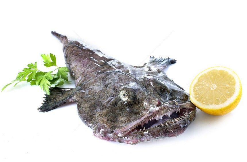 青島和尚魚又叫什么魚（收到！你想了解青島和尚魚的別稱） 青島和尚魚又叫什么魚（收到！你想了解青島和尚魚的別稱） 觀賞魚百科 第3張