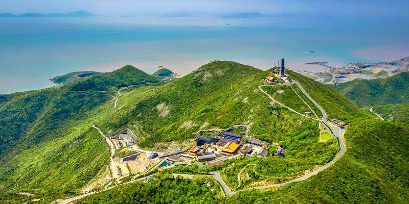 岱山龍魚