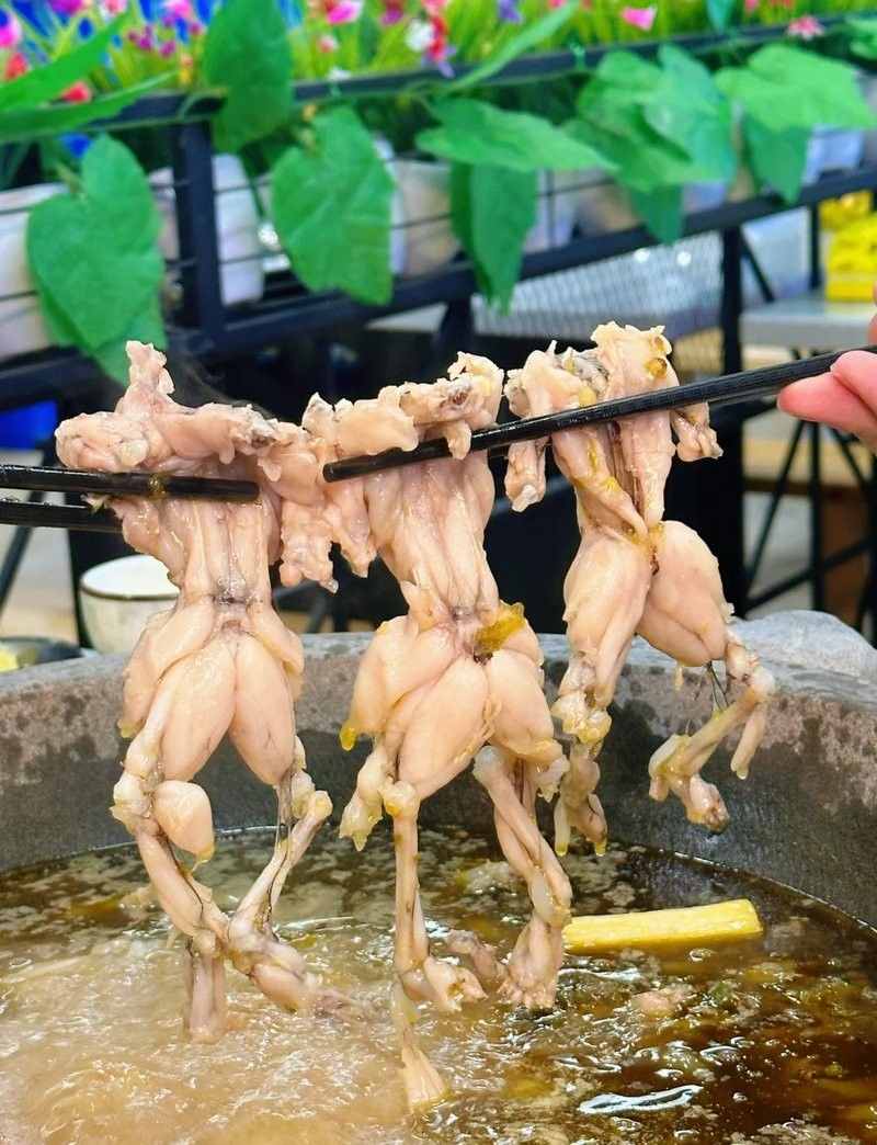 大邑縣哪里魚好吃