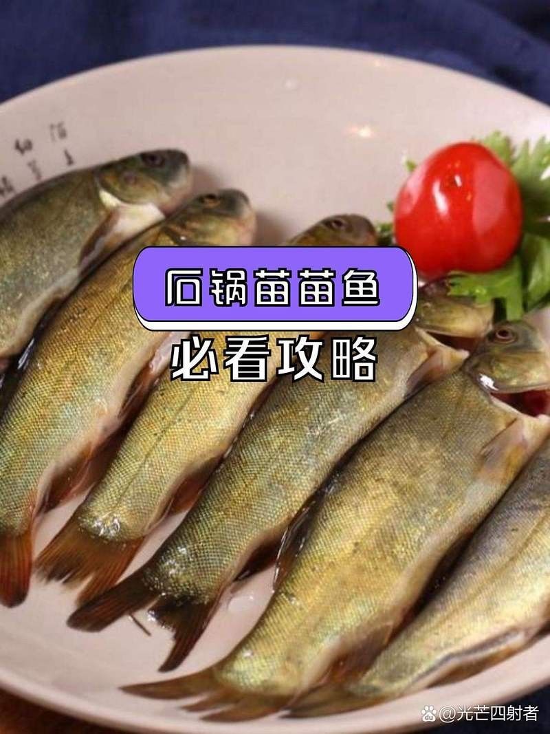 大邑縣哪里魚好吃
