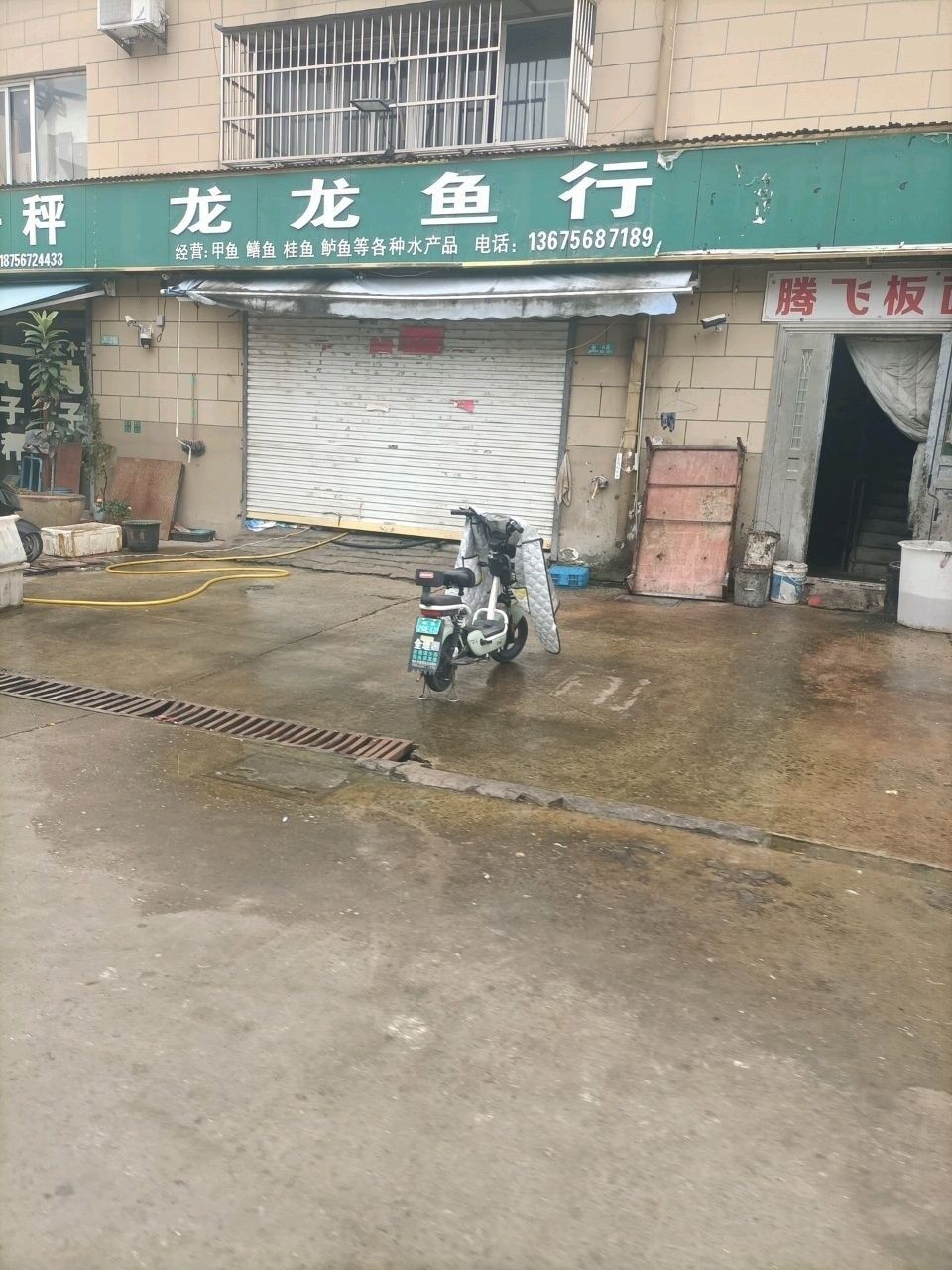 <strong><mark>安徽</mark></strong>龍魚（<strong><mark>安徽</mark></strong>龍魚有哪些品種？）