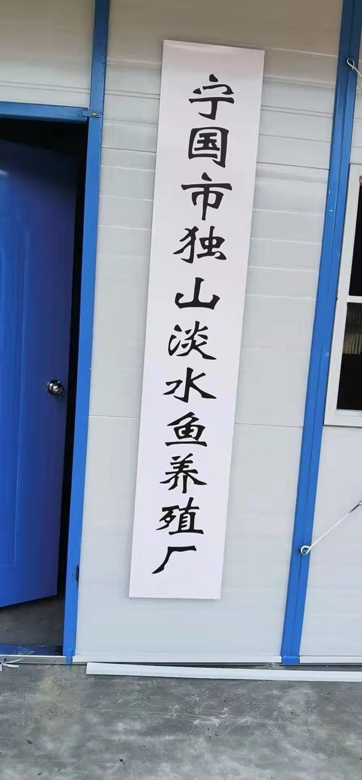 安徽龍魚（安徽龍魚有哪些品種？）