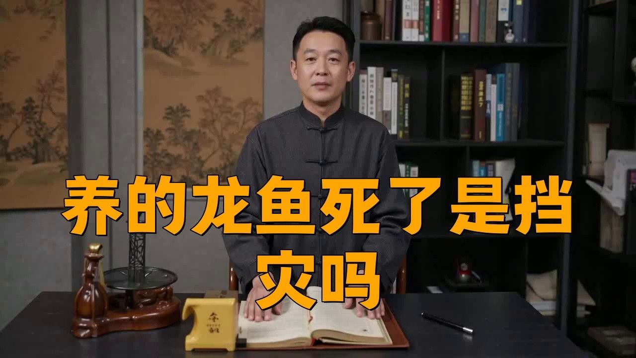 龍魚死了是擋災的嗎為什么