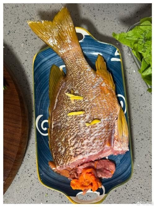 蚌山龍魚屬于什么檔次 蚌山龍魚屬于什么檔次 觀賞魚百科 第2張