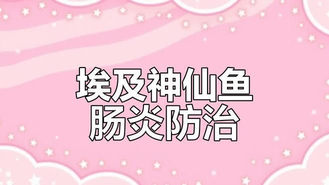 埃及神仙魚容易得什么病（埃及神仙魚感染寄生蟲后的五大癥狀與應(yīng)對方法建議）