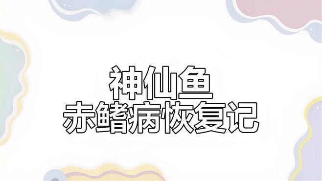 埃及神仙魚容易得什么病（埃及神仙魚感染寄生蟲后的五大癥狀與應(yīng)對方法建議）