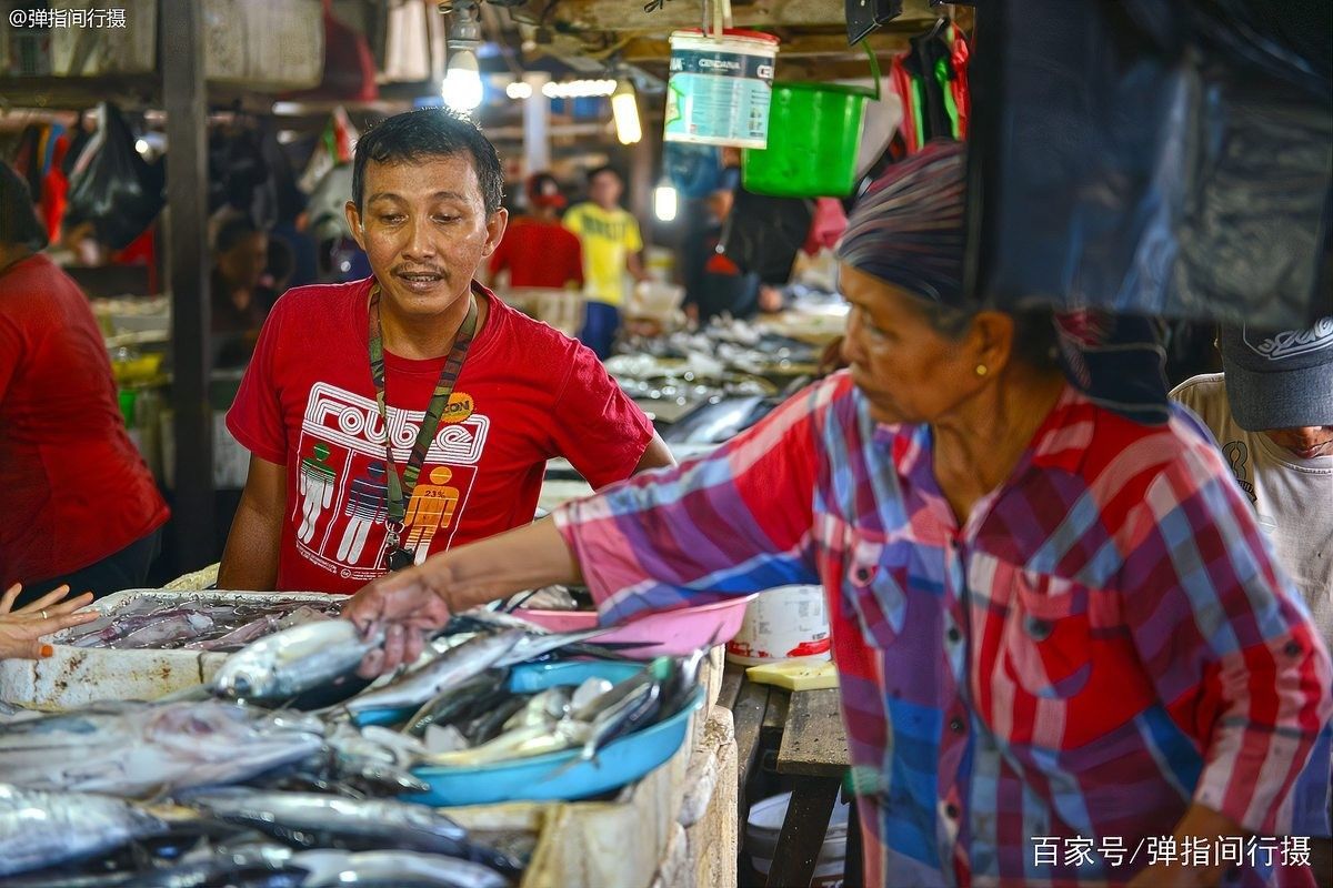 巴厘島金巴蘭魚市是否只批發紅龍魚（巴厘島金巴蘭魚市是否專門批發紅龍魚的問題并沒有明確信息） 巴厘島金巴蘭魚市是否只批發紅龍魚（巴厘島金巴蘭魚市是否專門批發紅龍魚的問題并沒有明確信息） 龍魚百科 第2張