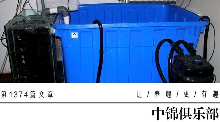 玻璃魚缸生產廠家排名前十（玻璃魚缸生產廠家排名前十名）