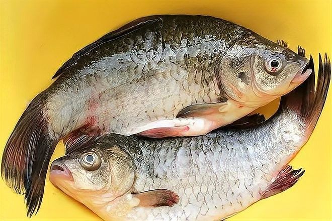 如何處理龍魚以去除腥味