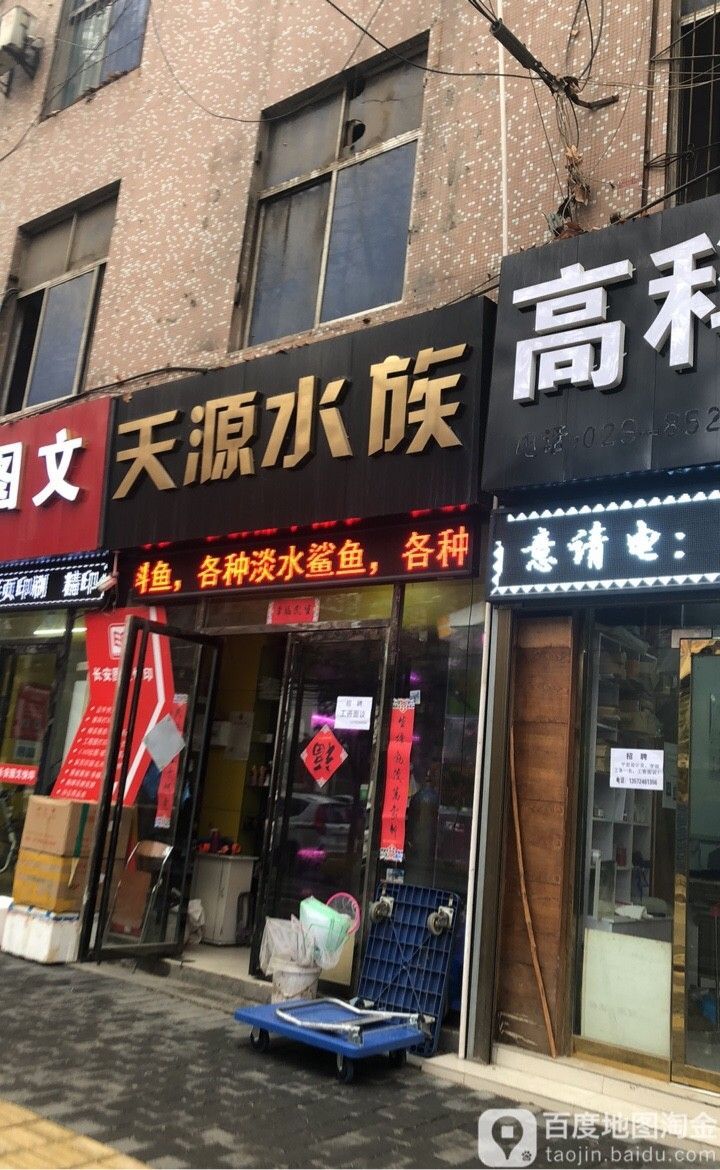 碑林哪個水族館龍魚好？祥龍魚場龍魚（碑林哪個水族館龍魚好）