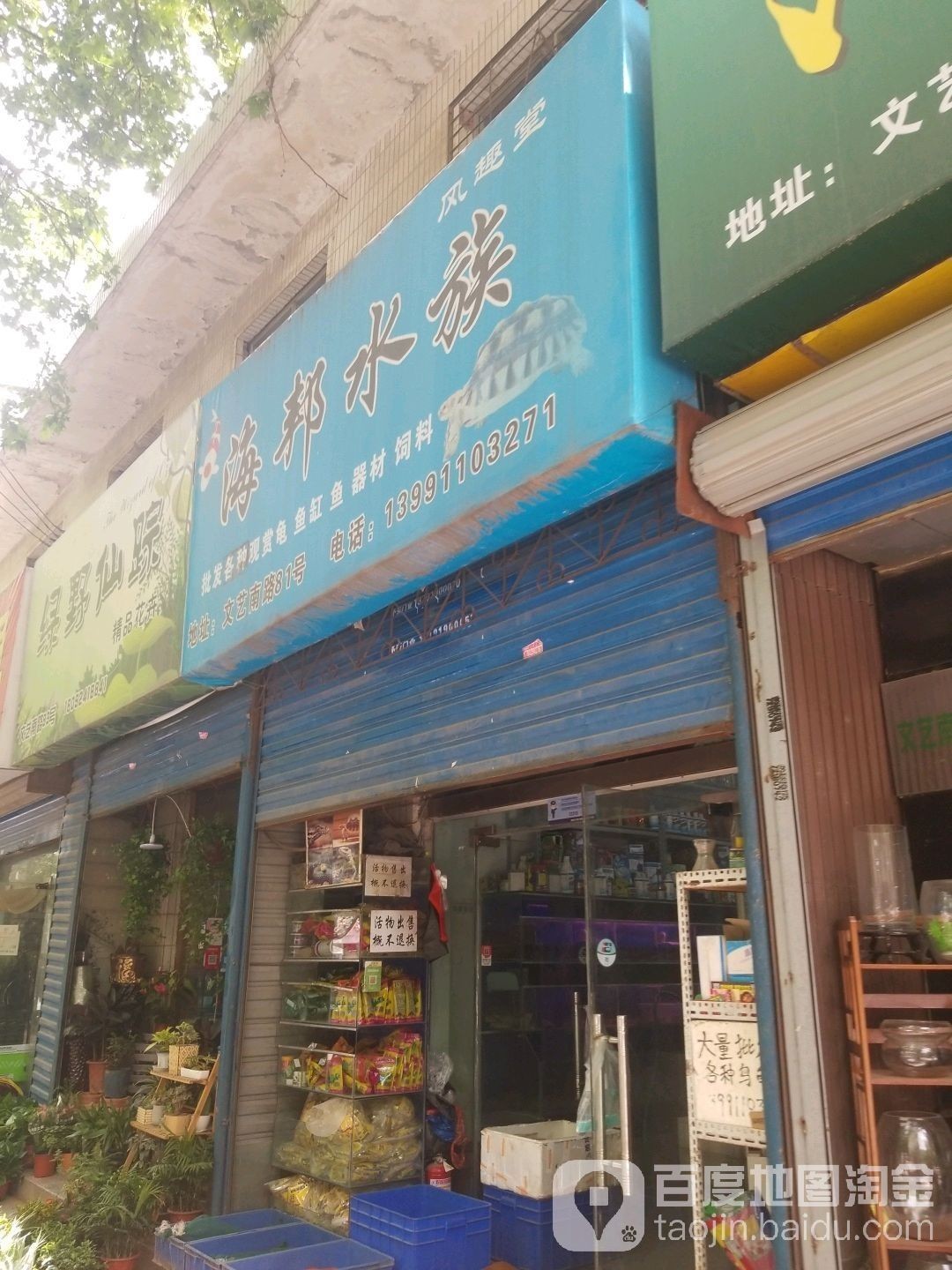 碑林哪個水族館龍魚好？祥龍魚場龍魚（碑林哪個水族館龍魚好）