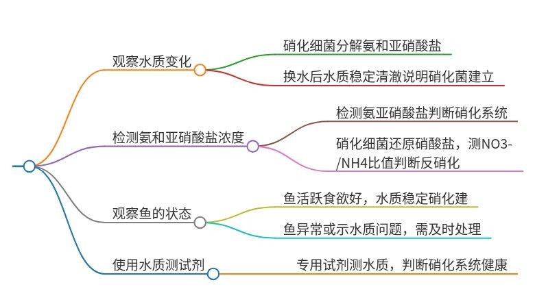 如何判斷飼料魚是否消毒徹底（如何判斷飼料魚是否消毒徹底在水產養殖中確保飼料魚的衛生安全）