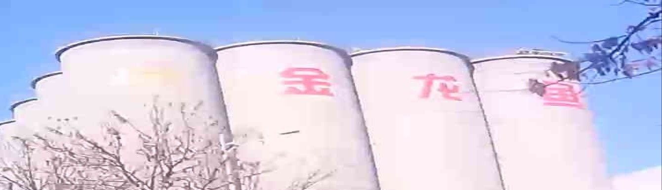 如何聯系太原金龍魚門店？（太原市金龍魚門店的聯系方式匯總） 如何聯系太原金龍魚門店？（太原市金龍魚門店的聯系方式匯總） 龍魚百科 第1張