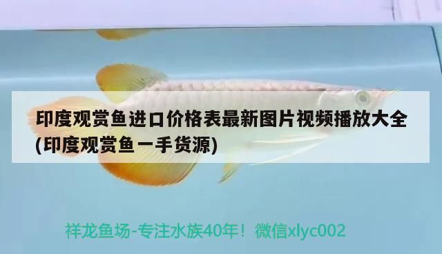 印度觀賞魚進口價格表最新圖片視頻播放大全(印度觀賞魚一手貨源)