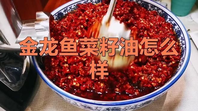 金安金龍魚（金安金龍魚怎么樣金龍魚“油罐真相”造謠者認慫愛奇藝）