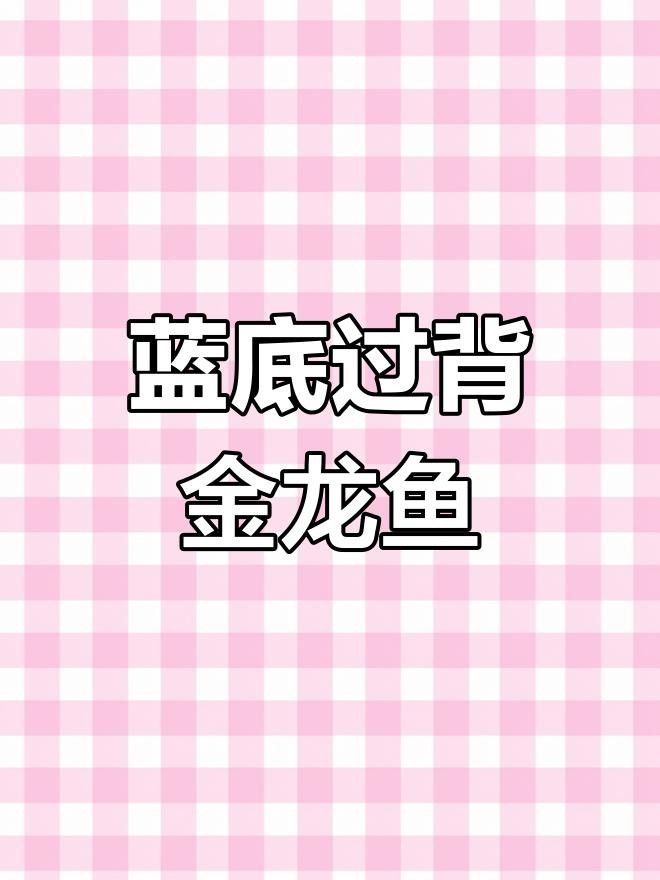 藍(lán)底過(guò)背金龍魚(yú)最簡(jiǎn)單三個(gè)步驟（如何在家中通過(guò)三個(gè)步驟來(lái)培養(yǎng)和裝飾藍(lán)底過(guò)背金龍魚(yú)）