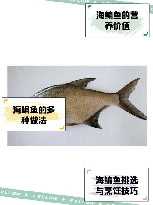 鳊魚最好的三個品種（鳊魚哪個品種好吃武漢譽祥科技聽推薦）