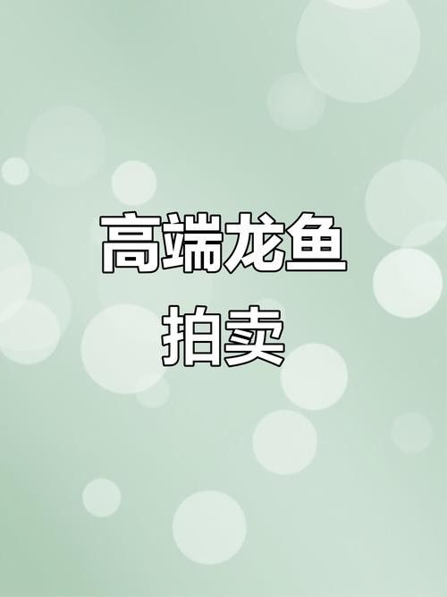 龍魚之巔論壇如何聯(lián)系賣家（如何在龍魚之巔論壇上聯(lián)系賣家購買或出售龍魚）
