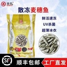 過山龍魚的市場價格是多少
