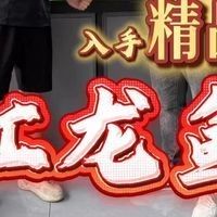 桂東哪個水族館龍魚好？祥龍魚場龍魚（廣州東祥龍水族館以其優質的龍魚品種和專業的養殖技術而聞名）