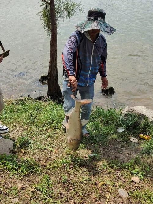 界首釣魚的地方（界首釣魚的地方，界首釣魚的地點(diǎn)）