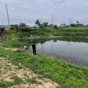 界首釣魚的地方（界首釣魚的地方，界首釣魚的地點(diǎn)）