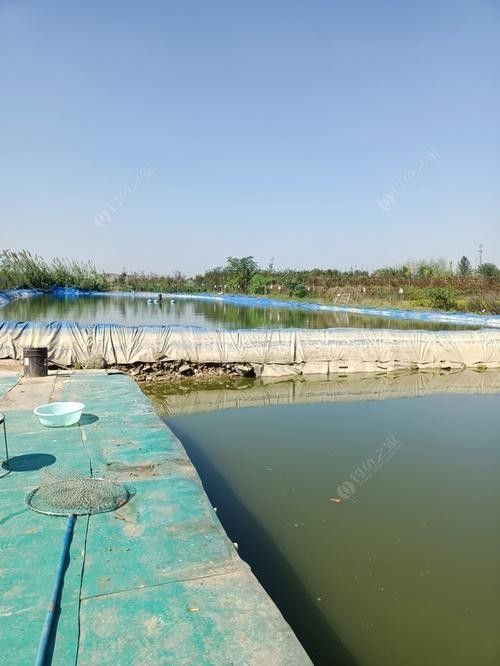 界首釣魚的地方（界首釣魚的地方，界首釣魚的地點(diǎn)）