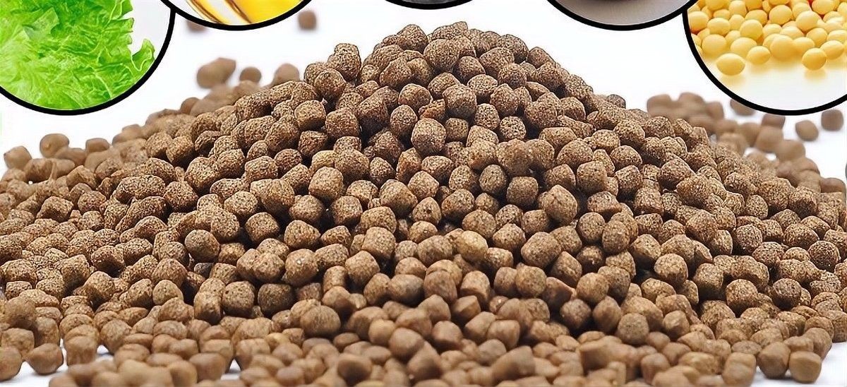 魚飼料什么牌子的好（飼料養魚人必看!十大品牌橫評!） 魚飼料什么牌子的好（飼料養魚人必看!十大品牌橫評!） 觀賞魚百科 第9張