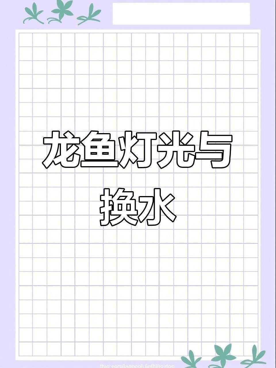 如何讓龍魚發(fā)色更好一些（龍魚發(fā)色管理技巧） 如何讓龍魚發(fā)色更好一些（龍魚發(fā)色管理技巧） 觀賞魚百科 第7張