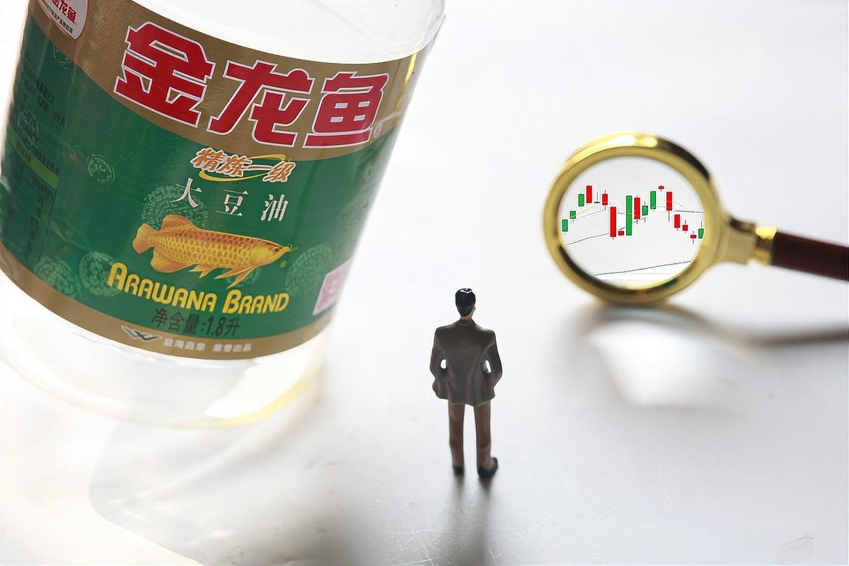 濟源金龍魚屬于什么檔次（濟源金龍魚與其它品牌有何區別濟源金龍魚價格范圍是多少） 濟源金龍魚屬于什么檔次（濟源金龍魚與其它品牌有何區別濟源金龍魚價格范圍是多少） 觀賞魚百科 第7張