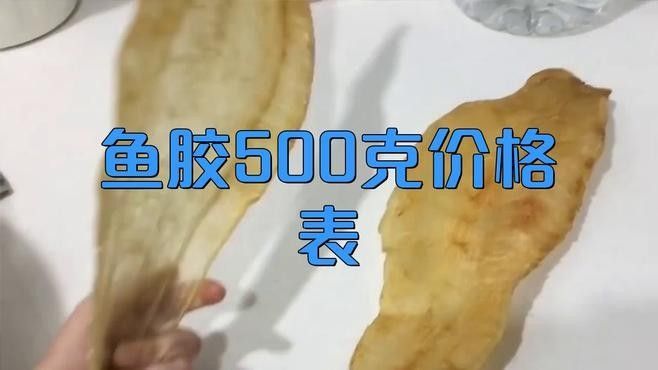 小金龍魚膠的價格范圍（小金龍魚膠的價格范圍在幾十元到幾百元人民幣不等） 小金龍魚膠的價格范圍（小金龍魚膠的價格范圍在幾十元到幾百元人民幣不等） 龍魚百科 第1張
