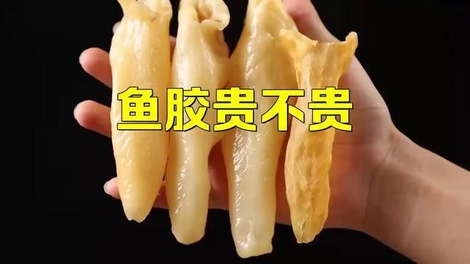 小金龍魚膠的價格范圍（小金龍魚膠的價格范圍在幾十元到幾百元人民幣不等） 小金龍魚膠的價格范圍（小金龍魚膠的價格范圍在幾十元到幾百元人民幣不等） 龍魚百科 第2張