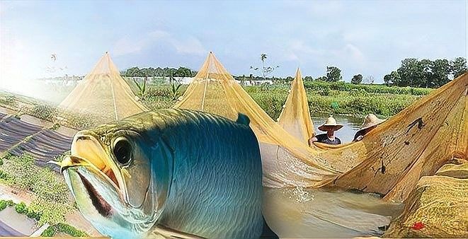 黃瘸子在《龍魚大道》中的結局是什么，《龍魚大道》黃瘸子在《龍魚大道》中的結局是什么