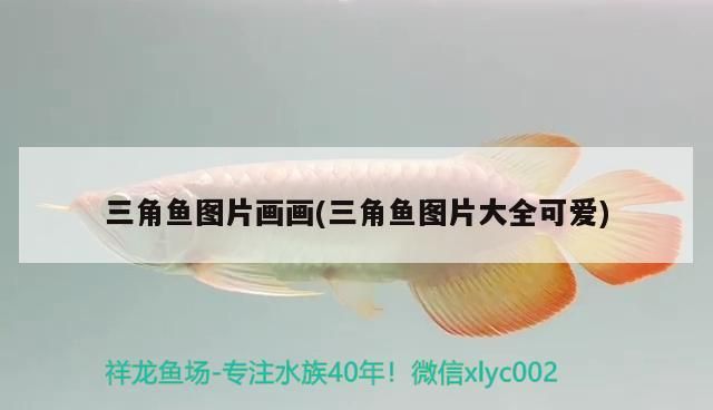 三角魚圖片畫畫(三角魚圖片大全可愛)