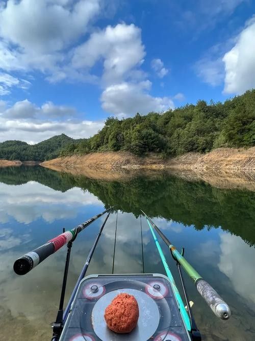 涉縣釣魚的水庫