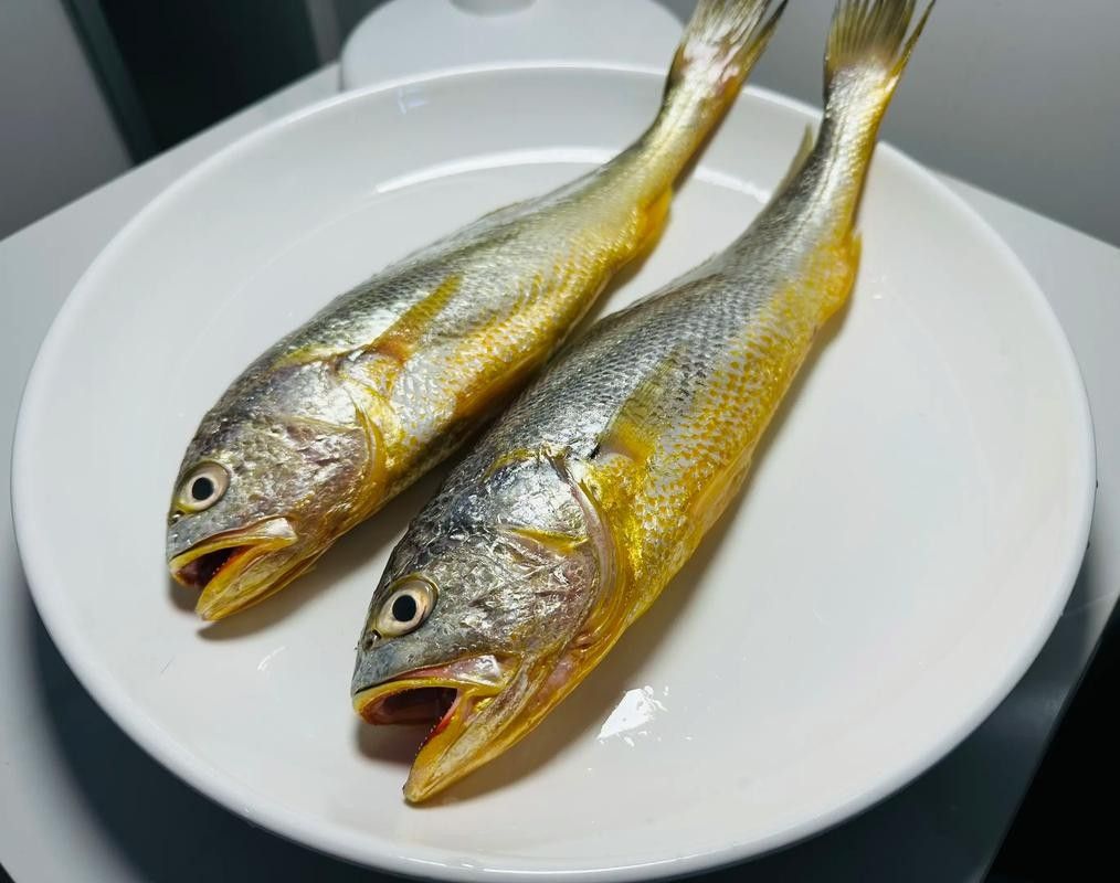 黃龍魚的價格是多少？（黃金龍魚價格、批發報價、價格大全）